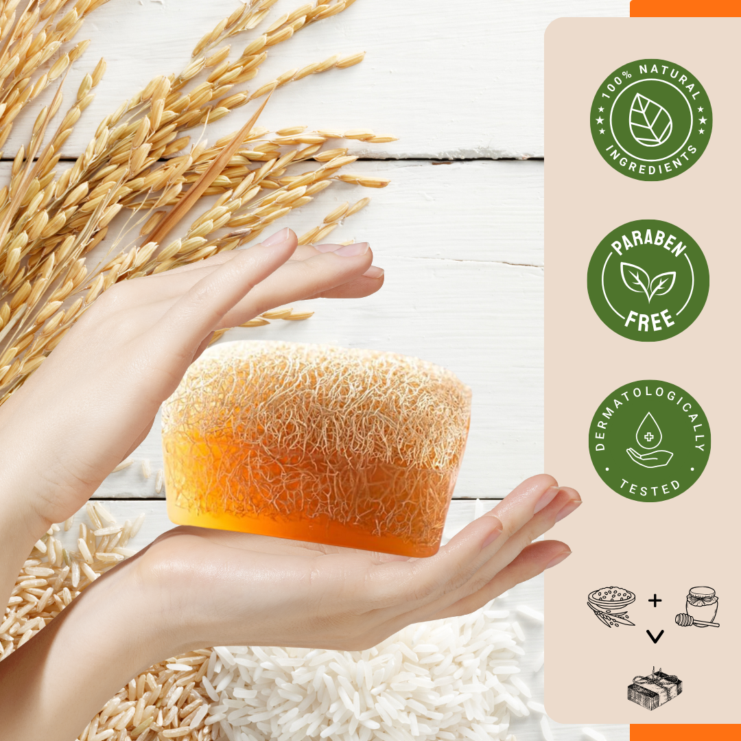 Agna™ 🌟 Natural Loofah Soap 3-Pack Gift Set