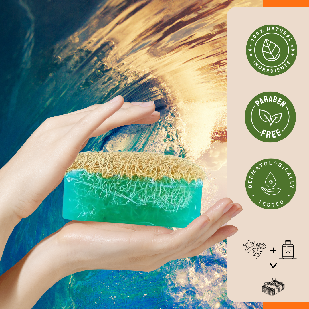 Agna™ 🌟 Natural Loofah Soap 3-Pack Gift Set