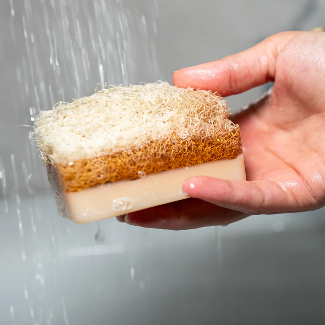 Agna™ Natural Loofah Soap 100-Pack