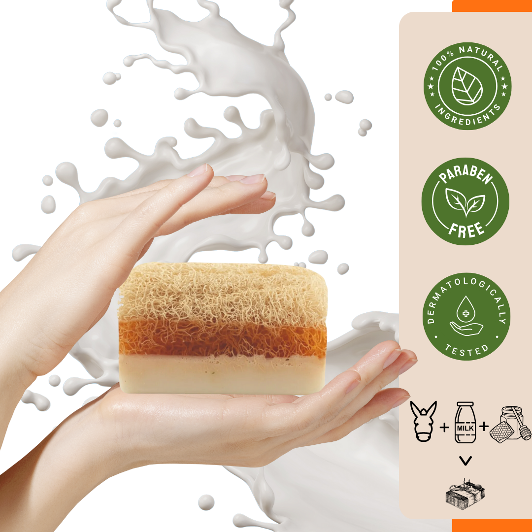 Agna™ 🌟 Natural Loofah Soap 3-Pack Gift Set