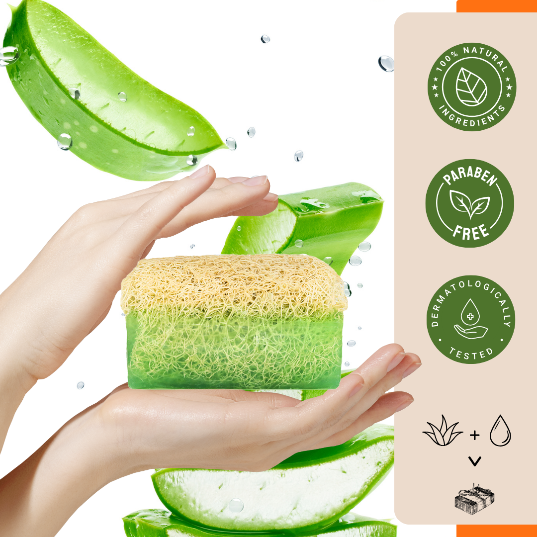 Agna™ 🌟 Natural Loofah Soap 3-Pack Gift Set